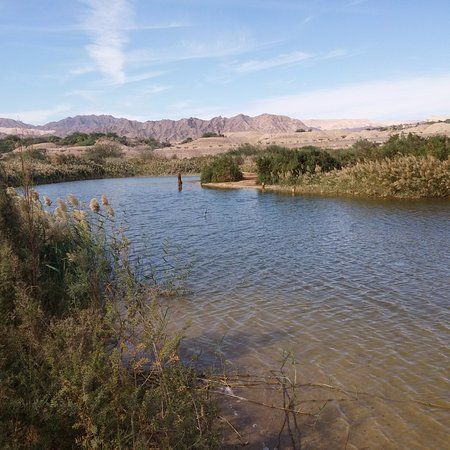 Eilat Ornithological Park
